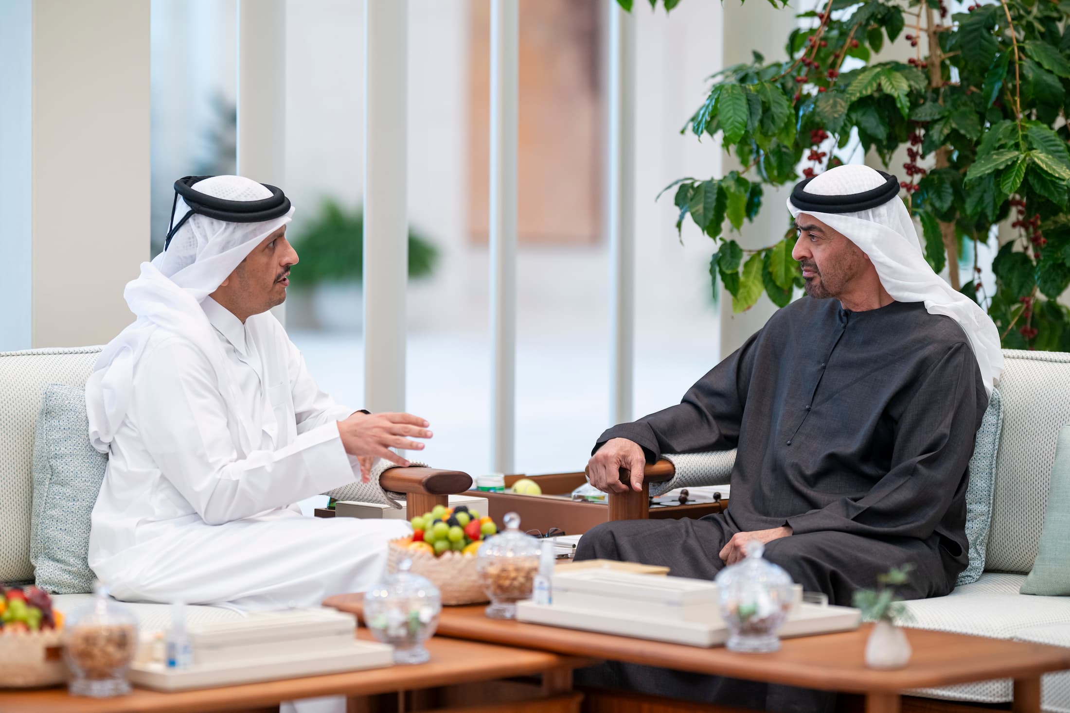 رئيس الدولة يستقبل رئيس مجلس الوزراء وزير خارجية قطر